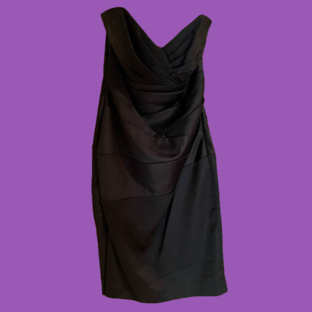 David’s Bridal Strapless Dress